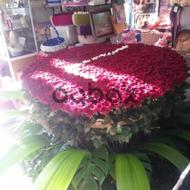 Great love - Special design