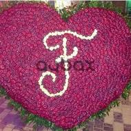 Love Rain - Special Design