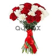 Carnations - A wreath of flowers