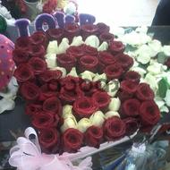 Roses love landscapes - Special design