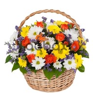 Colorful feelings - Flowers basket
