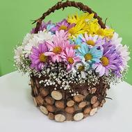 Color selection with flowers - Box with flowers
