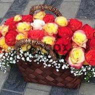 Colorful beauty - Flowers basket