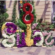 Special flowers - Special design